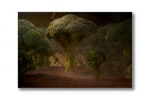 Photographie d'art - print art - Forêt de Brocoli - impression d'art - Thierry Pousset Photographe professionnel